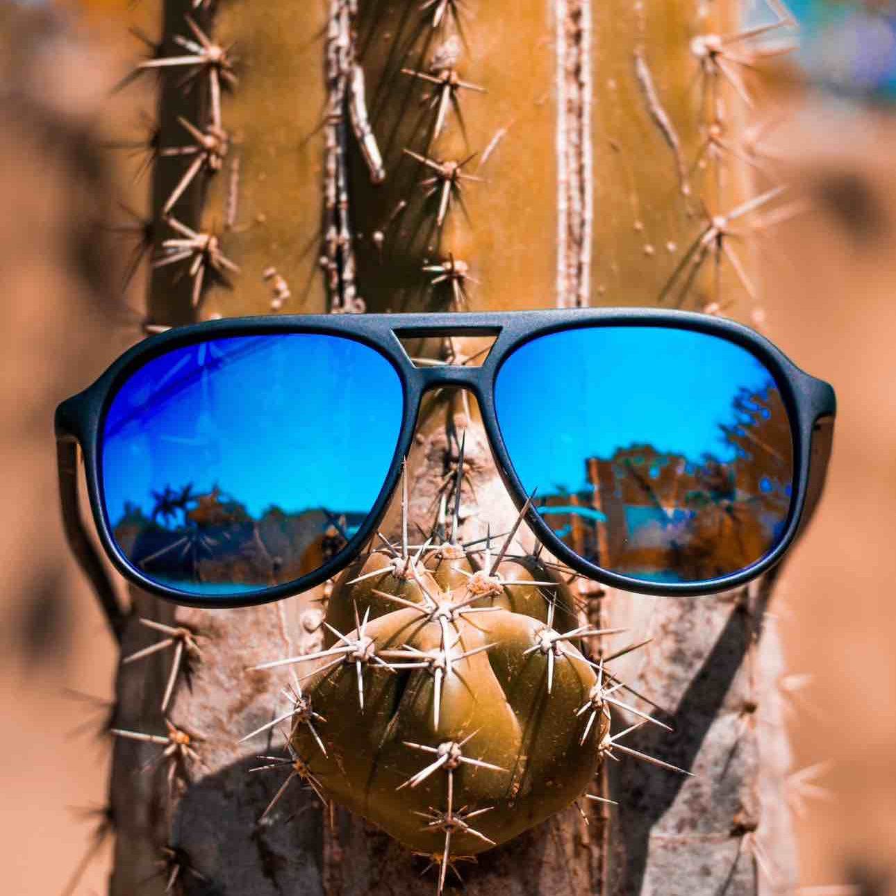Lente Fly Blue